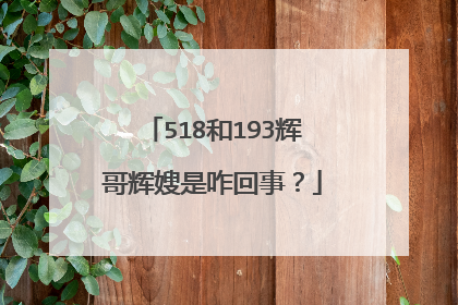 518和193辉哥辉嫂是咋回事？