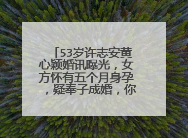53岁许志安黄心颖婚讯曝光，女方怀有五个月身孕，疑奉子成婚，你怎么看