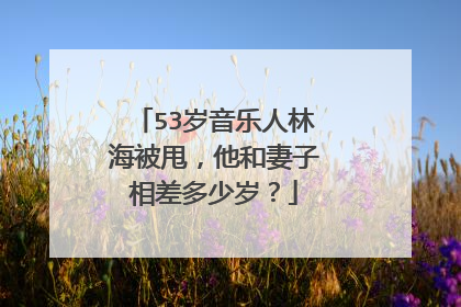 53岁音乐人林海被甩,他和妻子相差多少岁?