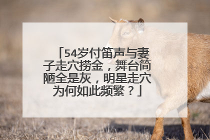 54岁付笛声与妻子走穴捞金，舞台简陋全是灰，明星走穴为何如此频繁？