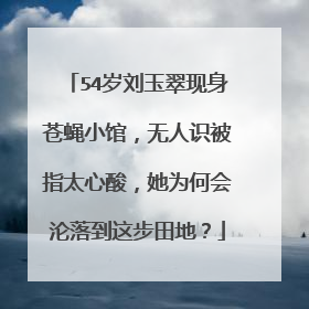 54岁刘玉翠现身苍蝇小馆，无人识被指太心酸，她为何会沦落到这步田地？