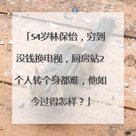 54岁林保怡,穷到没钱换电视,厨房站2个人转个身都难,他如今过得怎样?