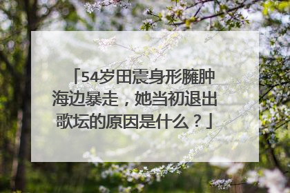 54岁田震身形臃肿海边暴走，她当初退出歌坛的原因是什么？