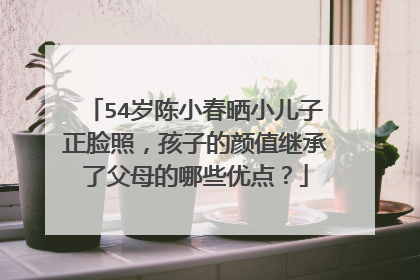 54岁陈小春晒小儿子正脸照,孩子的颜值继承了父母的哪些优点?