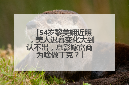 54岁黎美娴近照,美人迟暮变化大到认不出,息影嫁富商为啥做丁克?