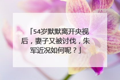 54岁默默离开央视后，妻子又被讨伐，朱军近况如何呢？