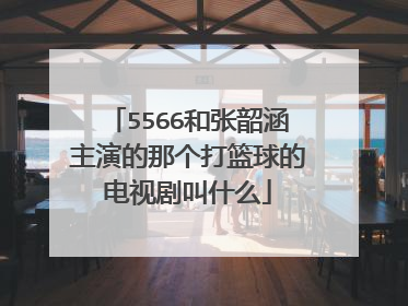 5566和张韶涵主演的那个打篮球的电视剧叫什么