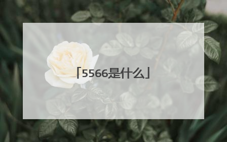 5566是什么