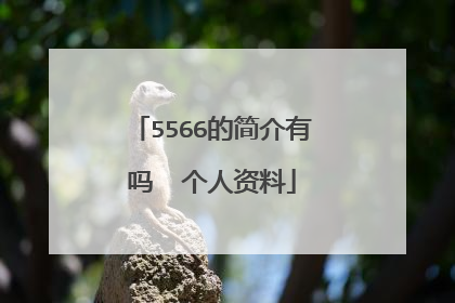 5566的简介有吗  个人资料