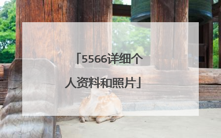 5566详细个人资料和照片
