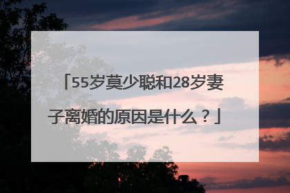 55岁莫少聪和28岁妻子离婚的原因是什么？