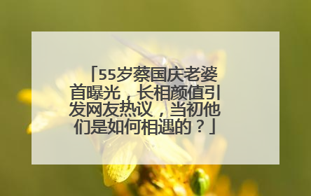 55岁蔡国庆老婆首曝光，长相颜值引发网友热议，当初他们是如何相遇的？