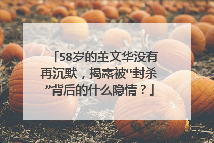 58岁的董文华没有再沉默,揭露被“封杀”背后的什么隐情?