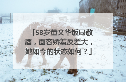 58岁董文华饭局敬酒,面容娇羞反差大,她如今的状态如何?