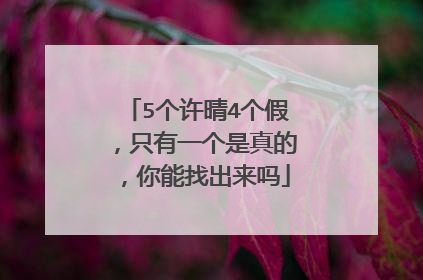 5个许晴4个假,只有一个是真的,你能找出来吗