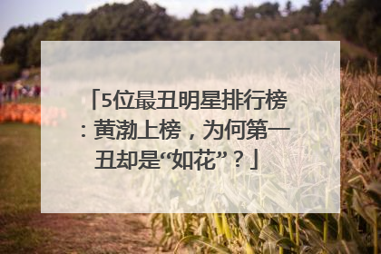 5位最丑明星排行榜:黄渤上榜,为何第一丑却是“如花”?