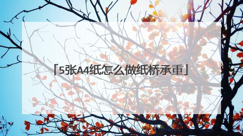 5张A4纸怎么做纸桥承重