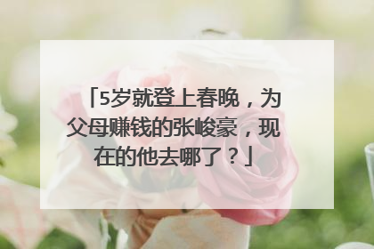 5岁就登上春晚,为父母赚钱的张峻豪,现在的他去哪了?