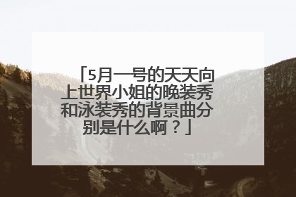 5月一号的天天向上世界小姐的晚装秀和泳装秀的背景曲分别是什么啊?