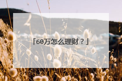 60万怎么理财？