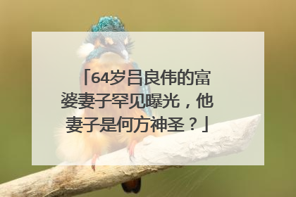 64岁吕良伟的富婆妻子罕见曝光,他妻子是何方神圣?