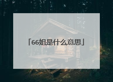 66姐是什么意思