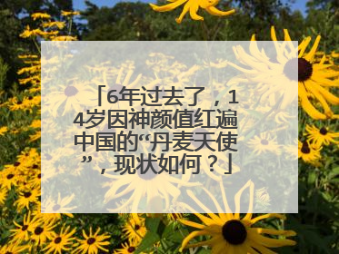 6年过去了，14岁因神颜值红遍中国的“丹麦天使”，现状如何？