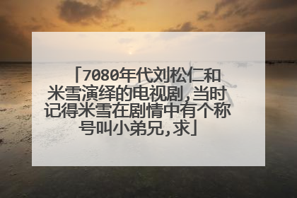7080年代刘松仁和米雪演绎的电视剧,当时记得米雪在剧情中有个称号叫小弟兄,求