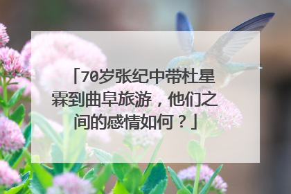 70岁张纪中带杜星霖到曲阜旅游,他们之间的感情如何?