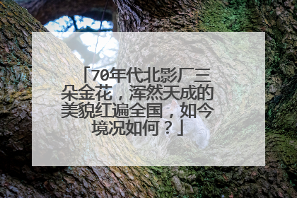 70年代北影厂三朵金花，浑然天成的美貌红遍全国，如今境况如何？