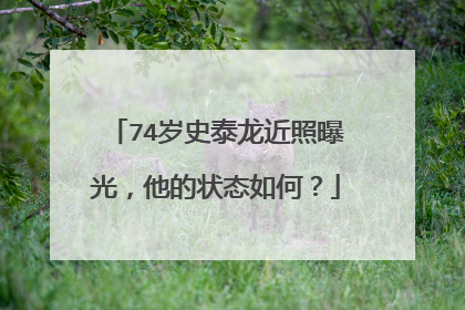 74岁史泰龙近照曝光,他的状态如何?