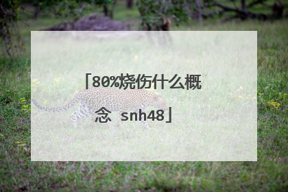 80%烧伤什么概念 snh48