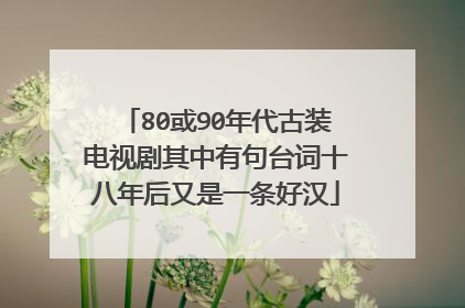 80或90年代古装电视剧其中有句台词十八年后又是一条好汉
