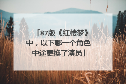 87版《红楼梦》中，以下哪一个角色中途更换了演员