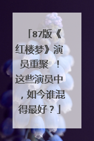 87版《红楼梦》演员重聚 ！这些演员中，如今谁混得最好？