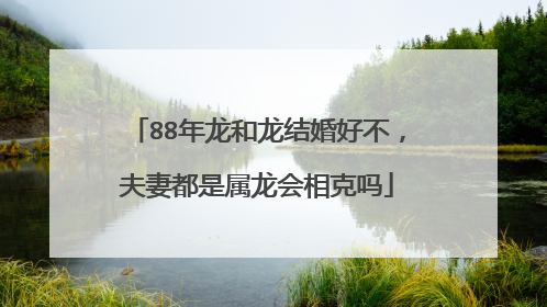 88年龙和龙结婚好不,夫妻都是属龙会相克吗