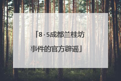 8·5成都兰桂坊事件的官方辟谣