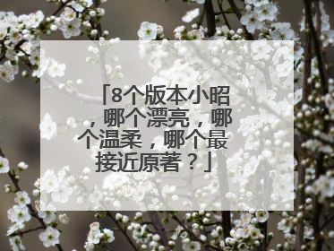 8个版本小昭，哪个漂亮，哪个温柔，哪个最接近原著？