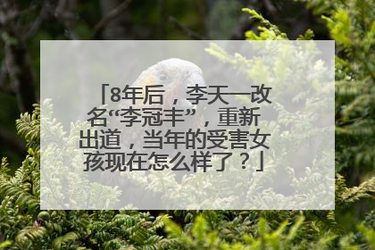 8年后,李天一改名“李冠丰”,重新出道,当年的受害女孩现在怎么样了?