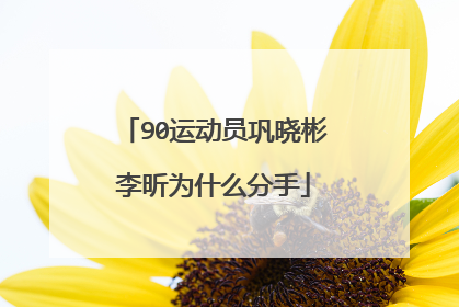 90运动员巩晓彬李昕为什么分手