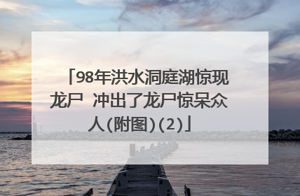 98年洪水洞庭湖惊现龙尸 冲出了龙尸惊呆众人(附图)(2)