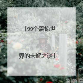 99个震惊世界的未解之谜