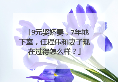9元娶娇妻，7年地下室，任程伟和妻子现在过得怎么样？