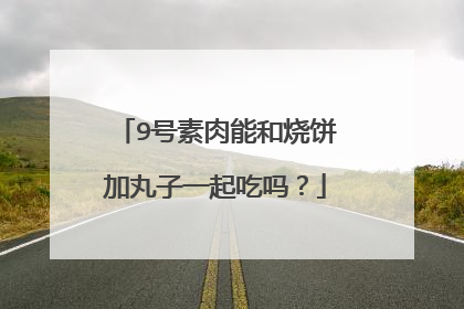 9号素肉能和烧饼加丸子一起吃吗?