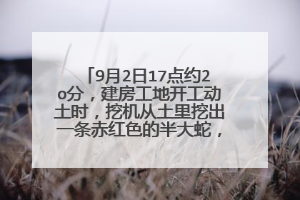 9月2日17点约2o分，建房工地开工动土时，挖机从土里挖出一条赤红色的半大蛇，是好是坏？求指教！
