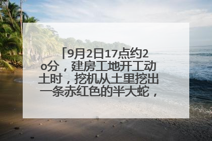 9月2日17点约2o分，建房工地开工动土时，挖机从土里挖出一条赤红色的半大蛇，是好是坏？求指教！