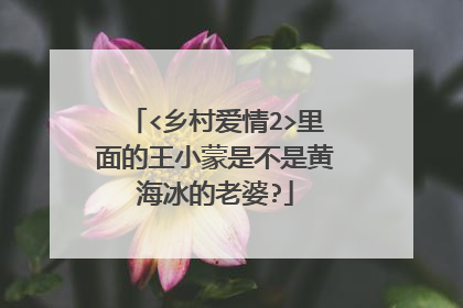 <乡村爱情2>里面的王小蒙是不是黄海冰的老婆?