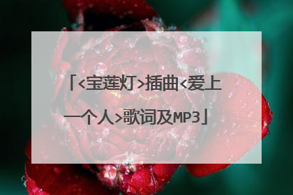 <宝莲灯>插曲<爱上一个人>歌词及MP3