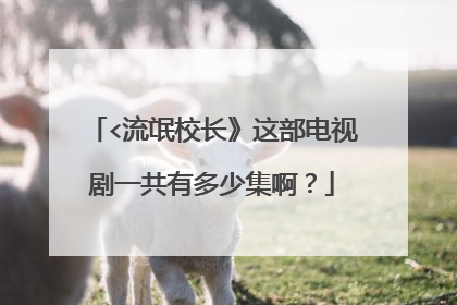 <流氓校长》这部电视剧一共有多少集啊？