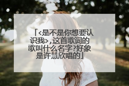 <是不是你想要认识我>,这首歌词的歌叫什么名字?好象是许慧欣唱的